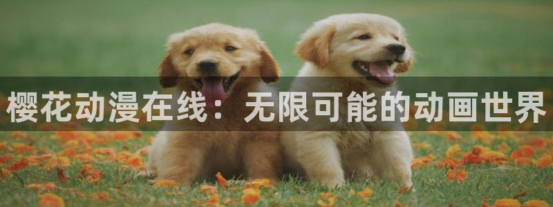 动漫之家看不了：樱花动漫在线：无限可能的动画世界