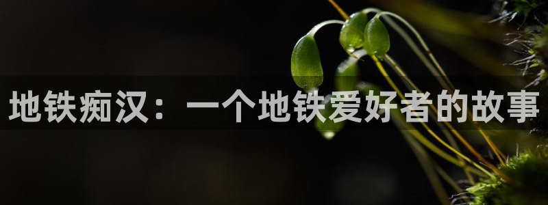 动漫之家正版官网：地铁痴汉：一个地铁爱好者的故事
