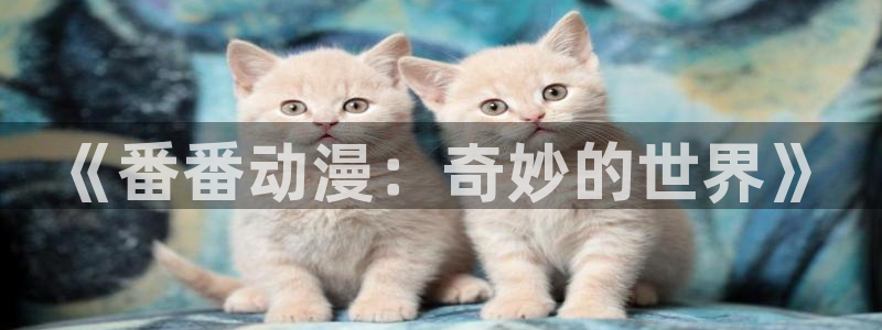 动漫之家隐藏：《番番动漫：奇妙的世界》